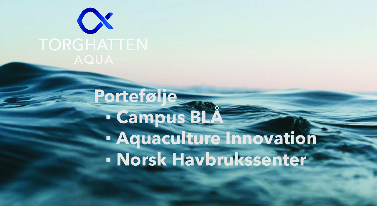 Torghatten Aqua