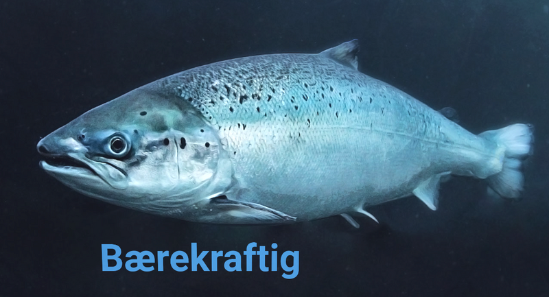 AkvaFuture bærekraft